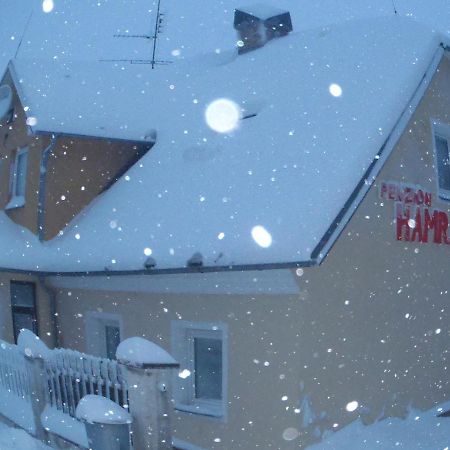 Penzion Hamrak Ceske Hamry Екстериор снимка