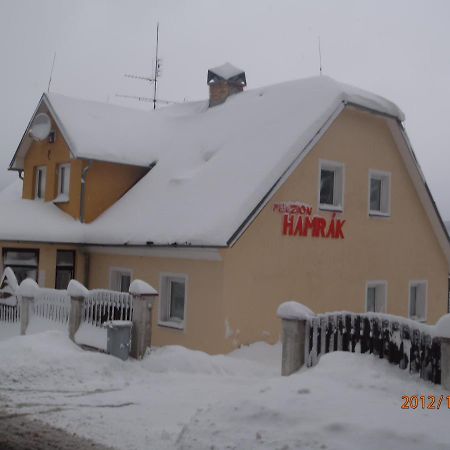 Penzion Hamrak Ceske Hamry Екстериор снимка