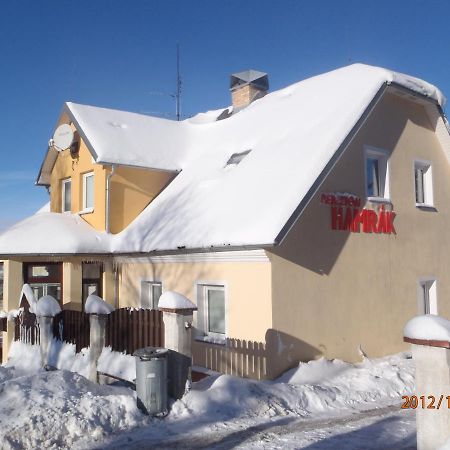 Penzion Hamrak Ceske Hamry Екстериор снимка