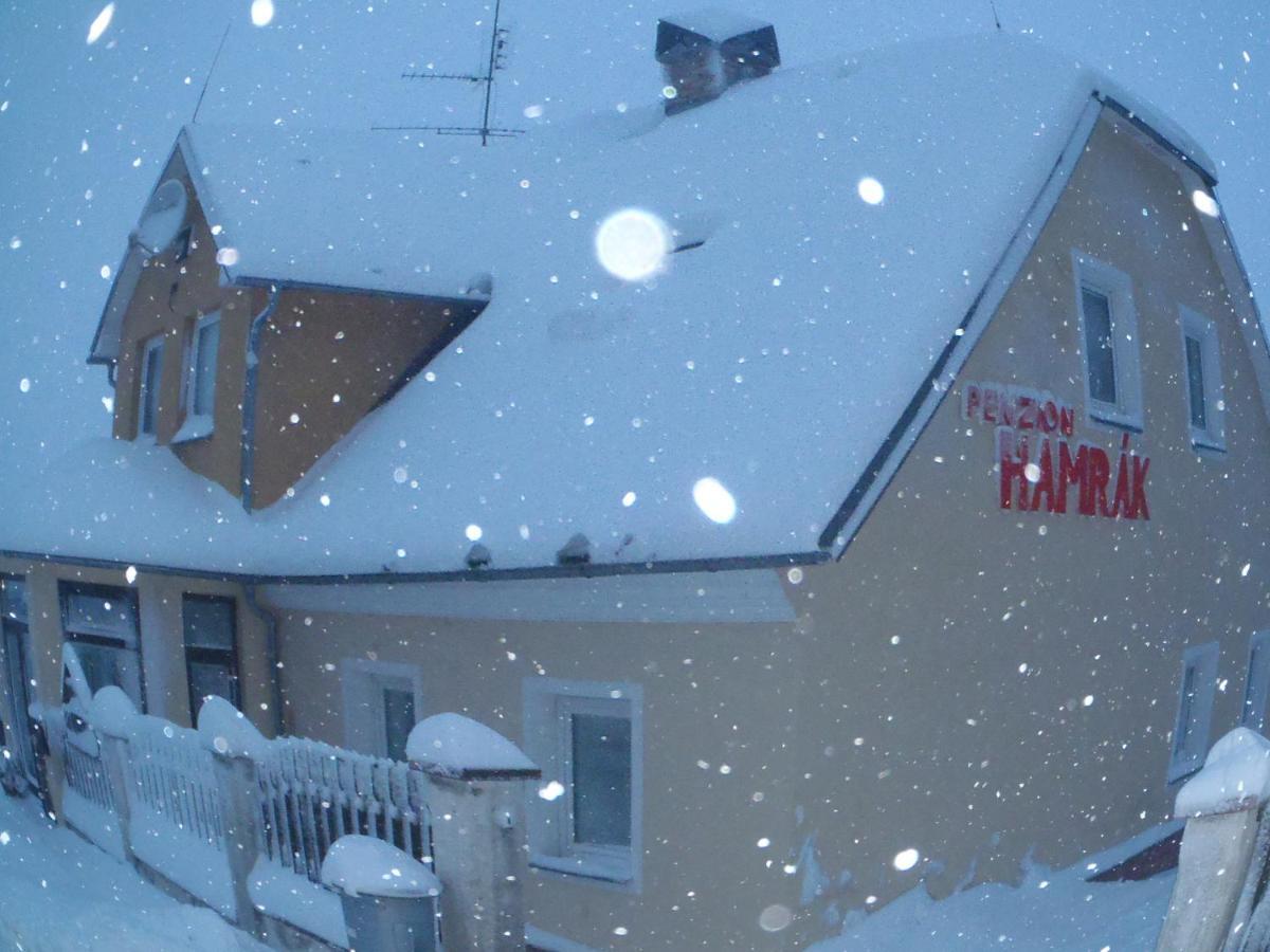 Penzion Hamrak Ceske Hamry Екстериор снимка